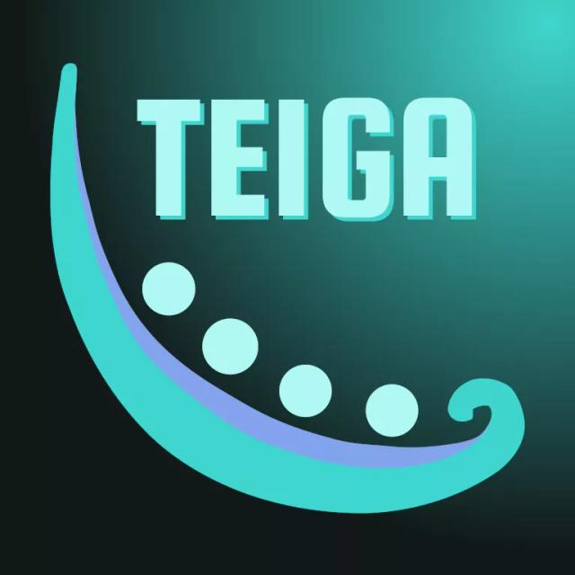 TEIGA srls - logo of the company