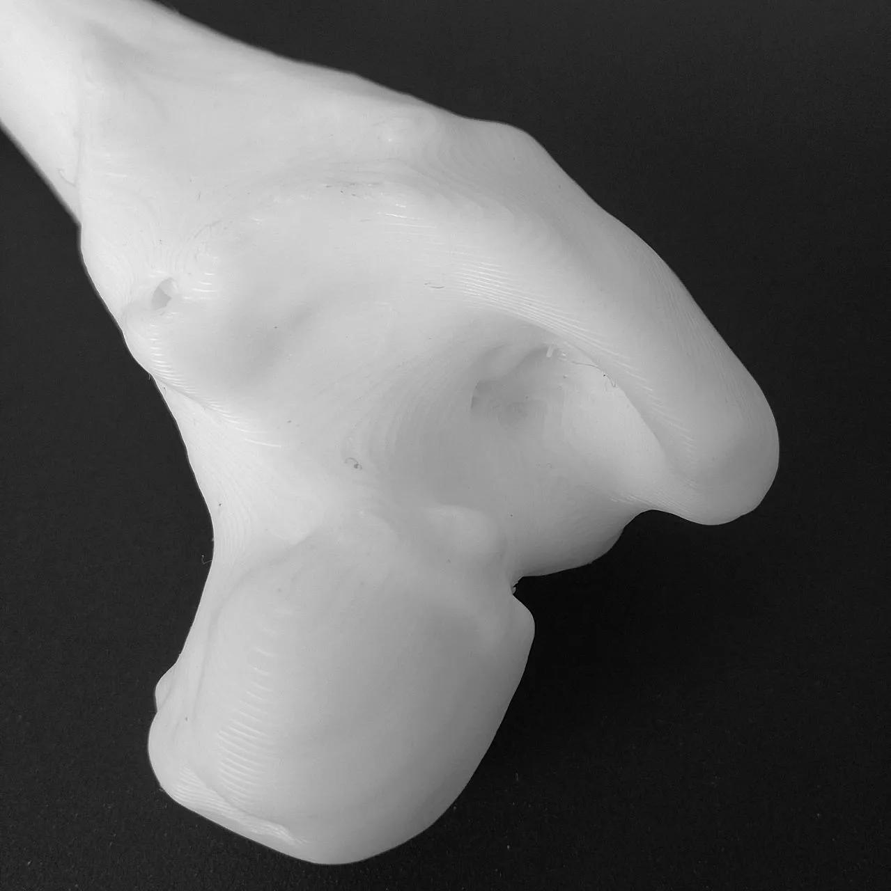 RAMI Lab printed bone
